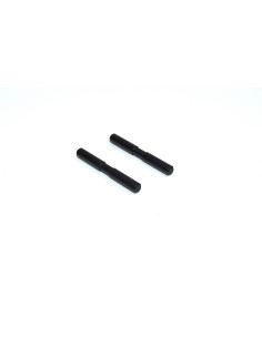 Hub Carrier shaft rear 2...