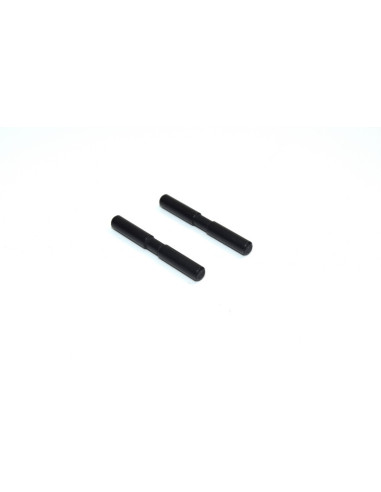 Hub Carrier shaft rear 2 Buggy/Truggy