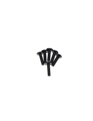 Round head screw 4 Truggy/Truck