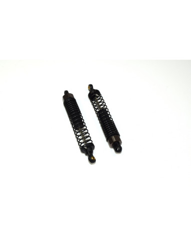 Shock Absorber complete f/r 2 AMT2.4 RTR/BL