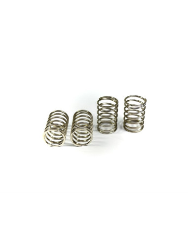 Spring Set for Damper  55mm hard (4)