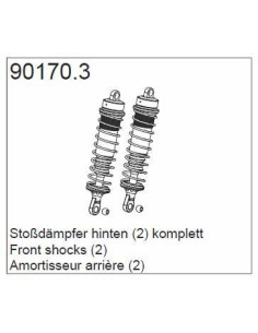 90170.3 Rear Shocks Flash...