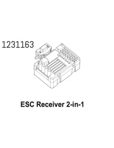 2in1 ESC&Receiver