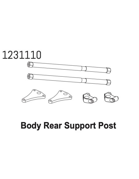 Hinge & Pivot Body Mount CR4.4