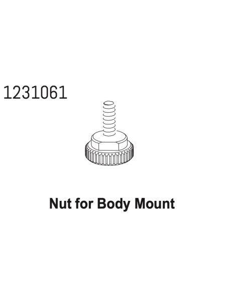 Nut for Body Mount CR4.4