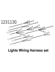 Led Light&Wire Set CR4.4