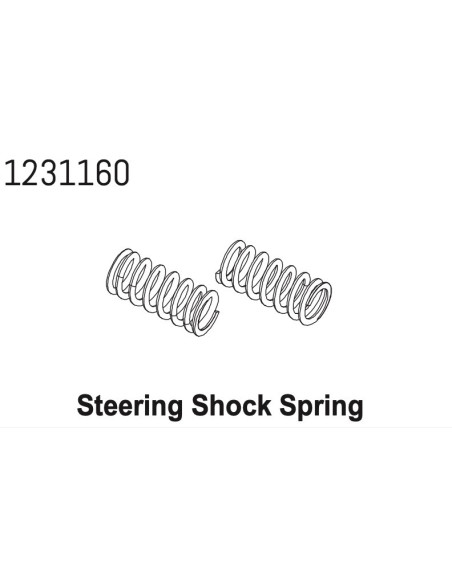Steering Spring2 CR4.4 (2)