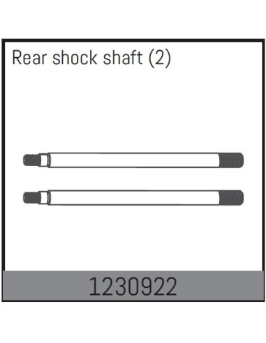 Rear Shock Shaft (2)