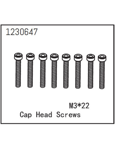 Cap Head Screws M3*22 (8)