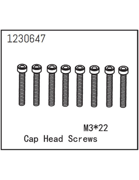 Cap Head Screws M3*22 (8)