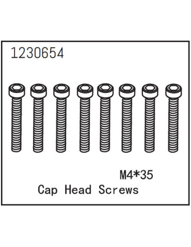 Cap Head Screws M4*35 (8)