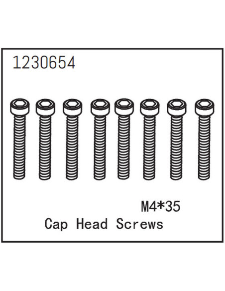 Cap Head Screws M4*35 (8)