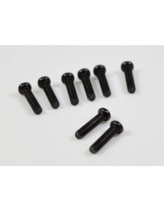 Rounded Head Screw M2.5*11