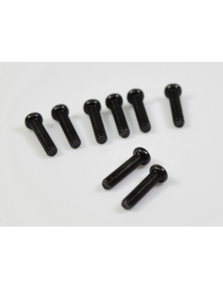 Rounded Head Screw M2.5*11