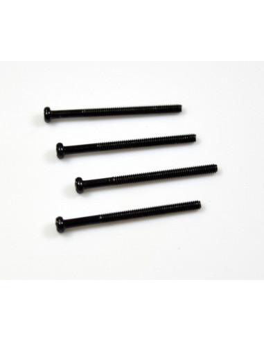 Rounded Head Screw M2*27