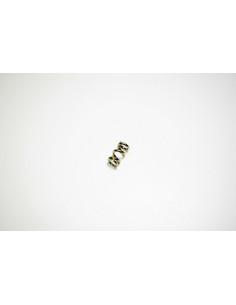 Slipper Spring AB2.8 BL