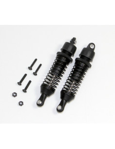 Shock Absorber Unit f/r (2)...