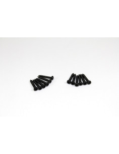 Head Cross Screw M2x12 (12)...