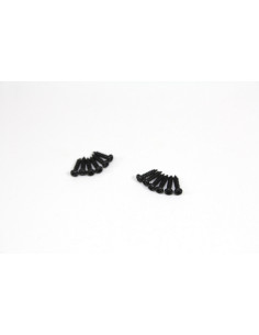 Head Cross Screw M2x8 (12)...