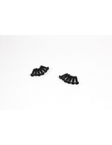 Head Cross Screw M2x8 (12) Sand Buggy