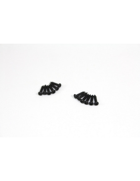 Head Cross Screw M2x8 (12) Sand Buggy