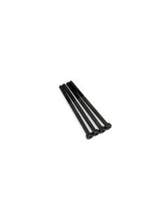 Head Cross Screw M3x50 (4)...