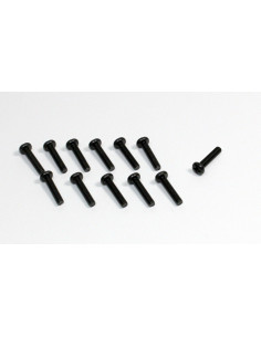 Head Cross Screw M3x12 (12)...