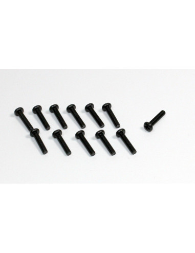 Head Cross Screw M3x12 (12) Sand Buggy