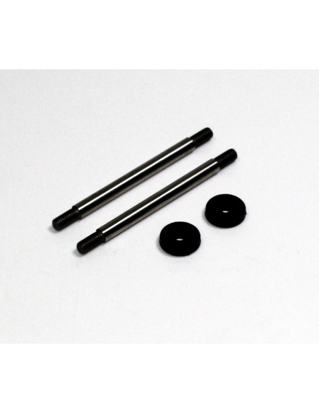 Damper Shaft Set (2) Buggy/Truggy