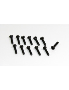 Head Cross Screw 3x16 (12)...