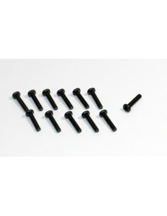 Head Cross Screw 3x10 (12)...