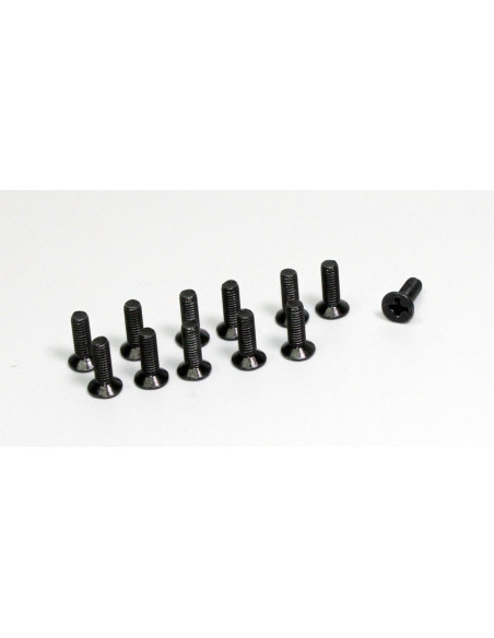 Flat Cross Screw 3x10 (12) Buggy/Truggy