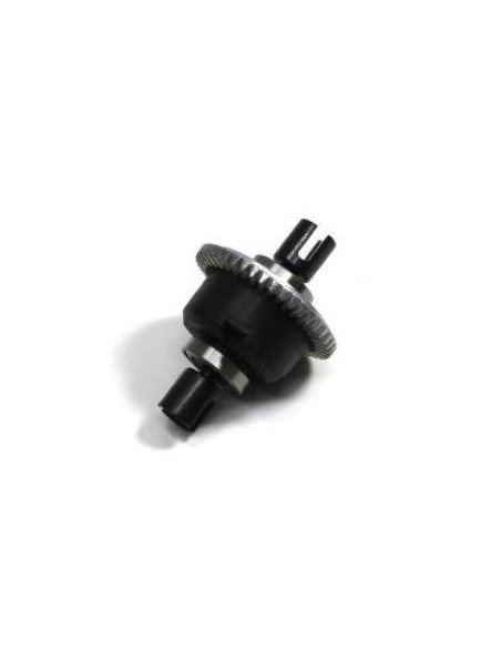 Differential Unit complete f/r Buggy/Truggy Brushed