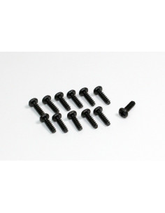 Head Cross Screw M3x10 (12)...