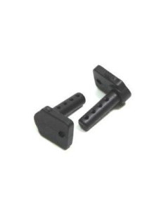 Body Mount (2) Buggy