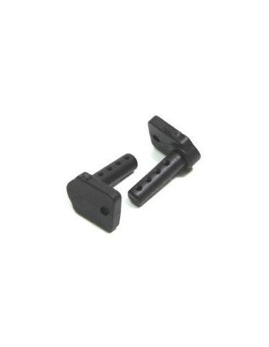 Body Mount (2) Buggy