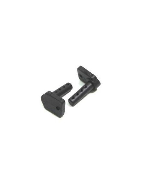 Body Mount (2) Buggy