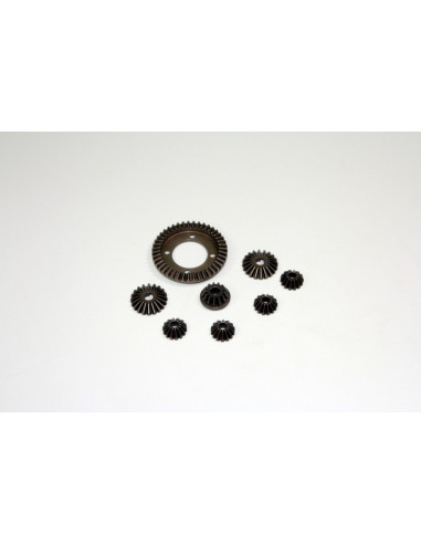 Differential Gear Set
