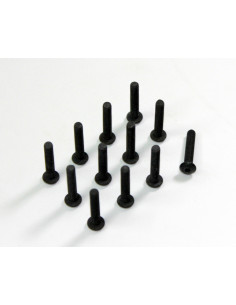 Allen Head Screw HM4x22...