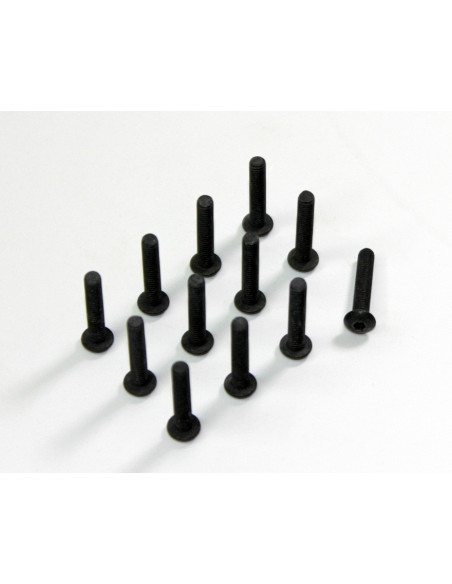 Allen Head Screw HM4x22 (12) AMT8