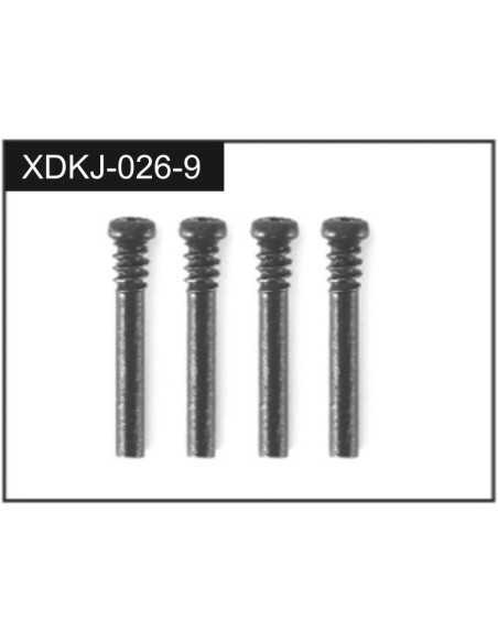 2.5*19 Screws (4)