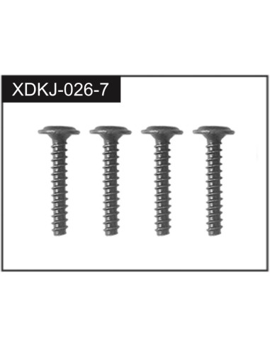 2.3*14 Screws (4)