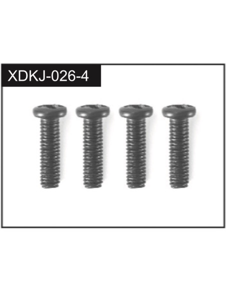 3*10 Screws (4)