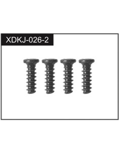 2.3*5 Screws (4)