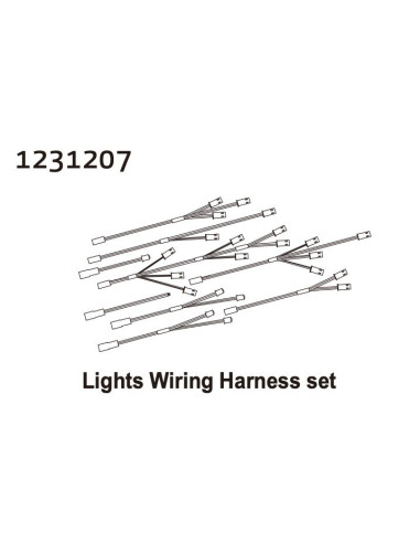 Lights Wiring Harness Set CR4.4 PATROL