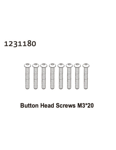 Button Head Screw M3*20 (8)