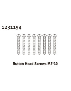 Button Head Screw M3*30 (8)