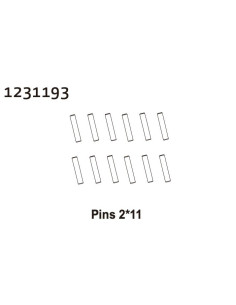 Pins 2*11 (12)