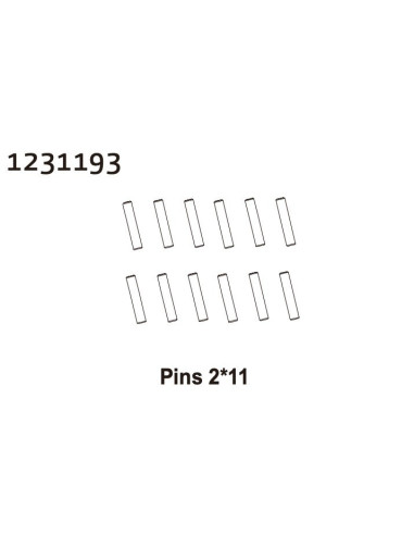 Pins 2*11 (12)