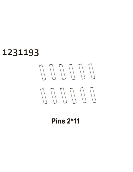 Pins 2*11 (12)